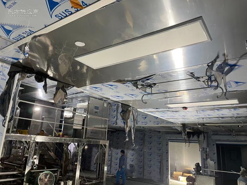 食品加工行业万级无尘无菌净化与安防工程一体化设计与施工